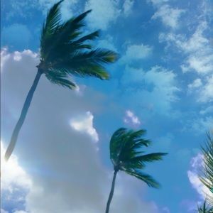 Meet your Posher, Deanna